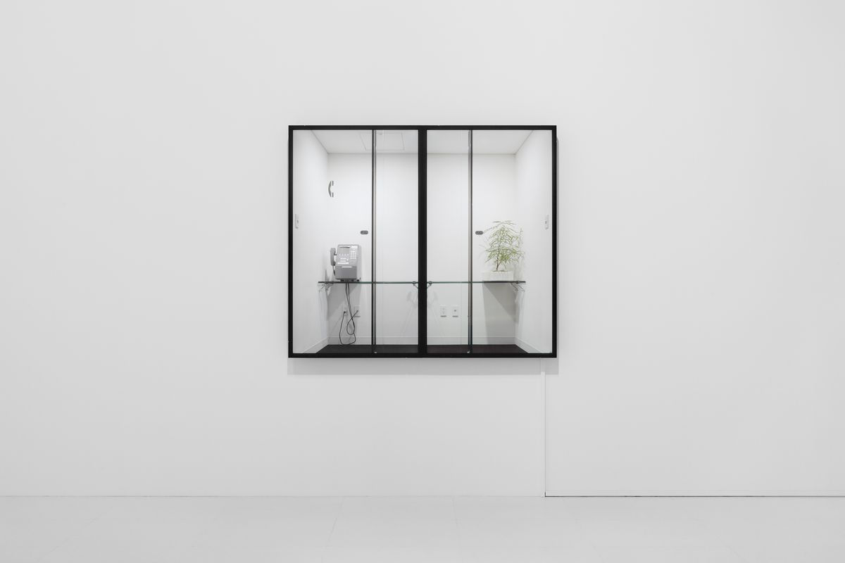 Installation view: “MAM Project 023: Agatha Gothe-Snape,” Mori Art Museum, Tokyo, 2017