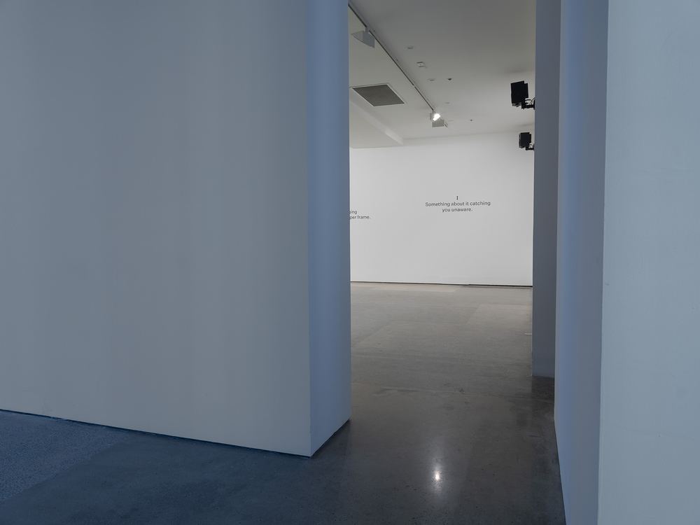 Agatha Gothe-Snape and Wrong Solo: Certain Situations
