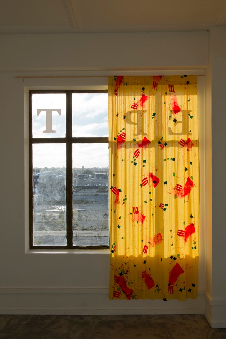 Agatha Gothe-Snape, EXPRESSION CURTAIN, 2013