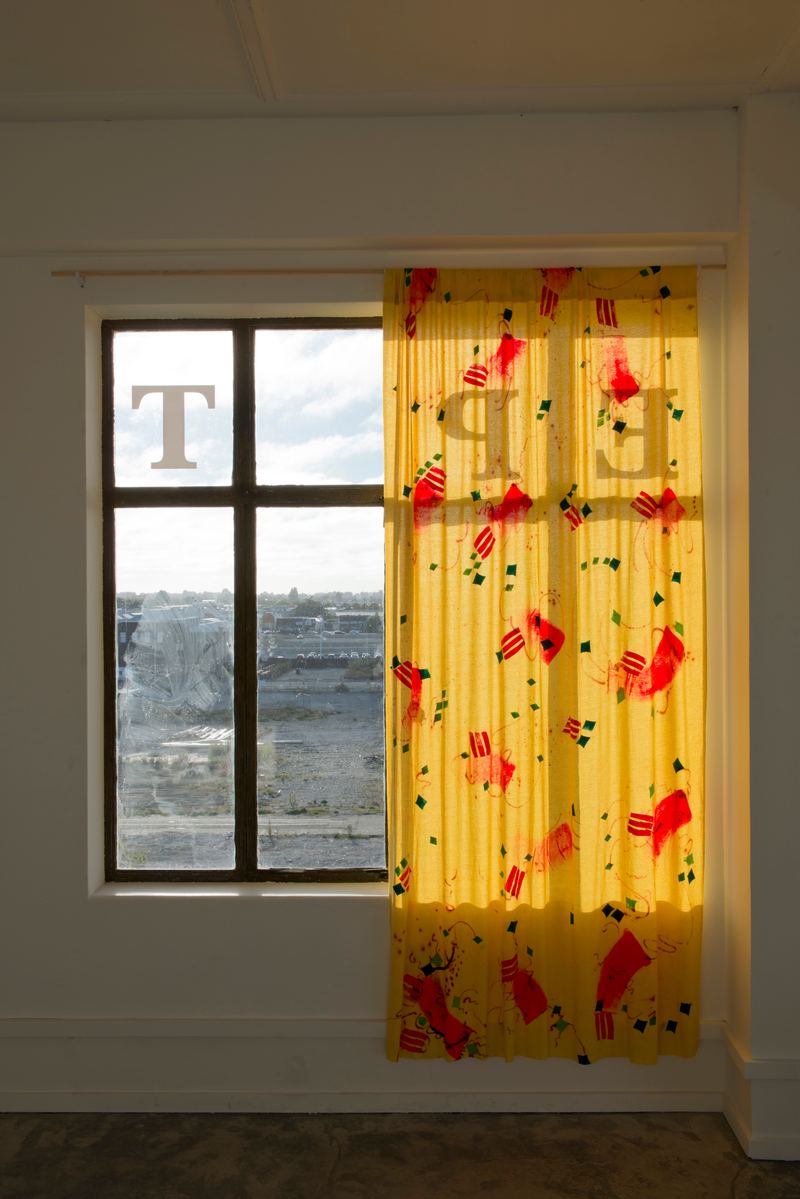 Agatha Gothe-Snape, EXPRESSION CURTAIN, 2013