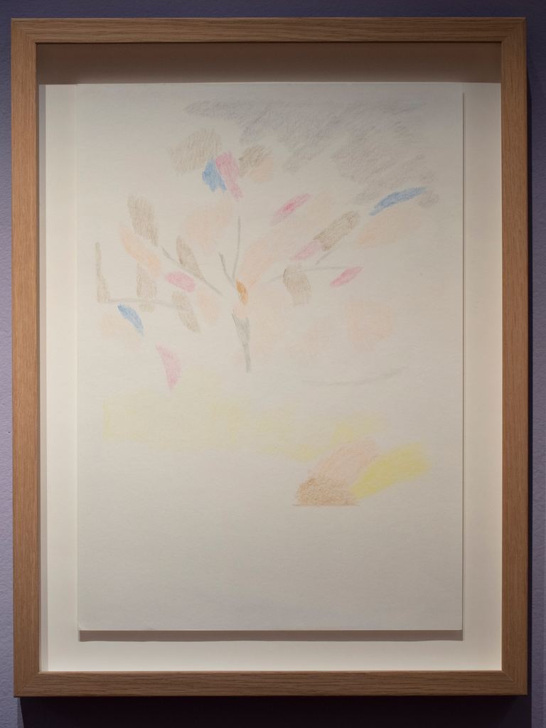 Agatha Gothe-Snape, Hakea Ghost Drawing, 2018