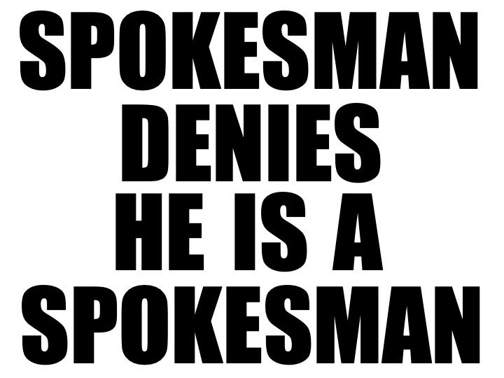 29. SPOKESMAN DENIES, 2013 AGS.ppsx