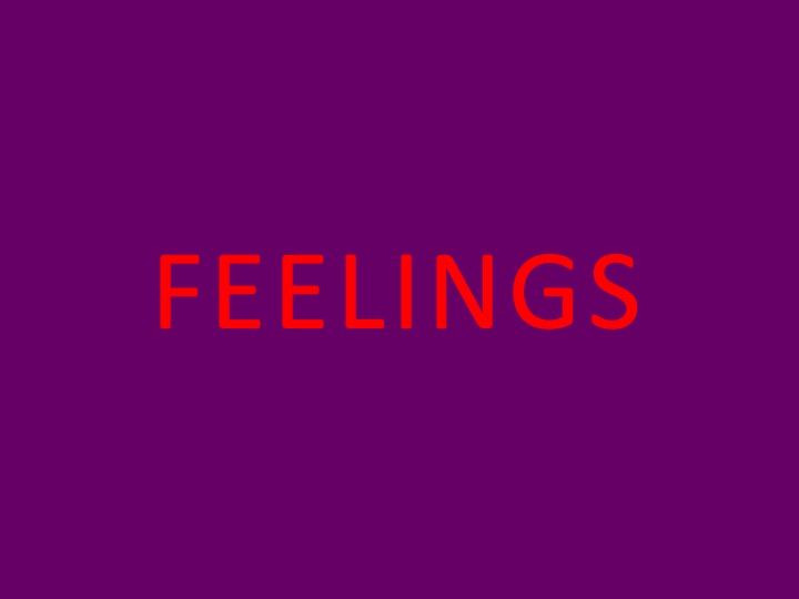 Agatha Gothe-Snape, 6. FEELINGS, 2009 AGS.ppsx, 2009