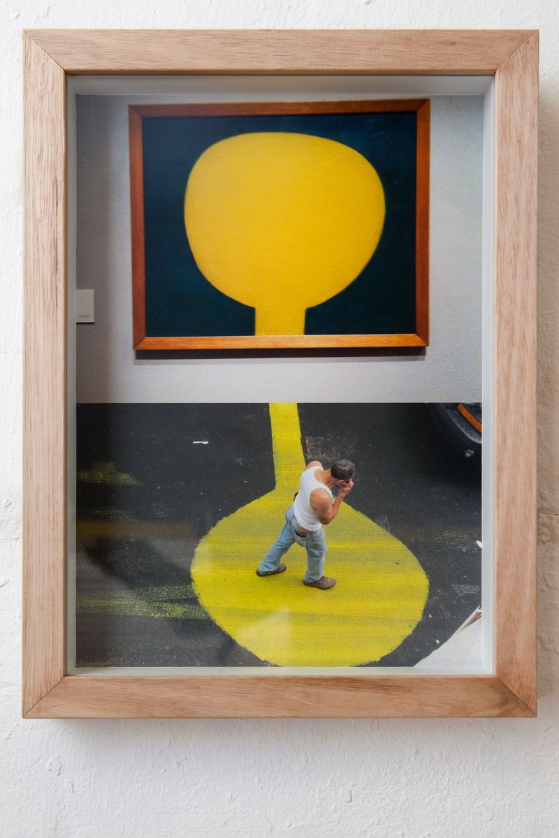 Agatha Gothe-Snape, The surface of the moon, 2012