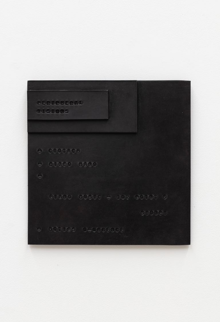 Mitch Cairns, PV plate, 2025