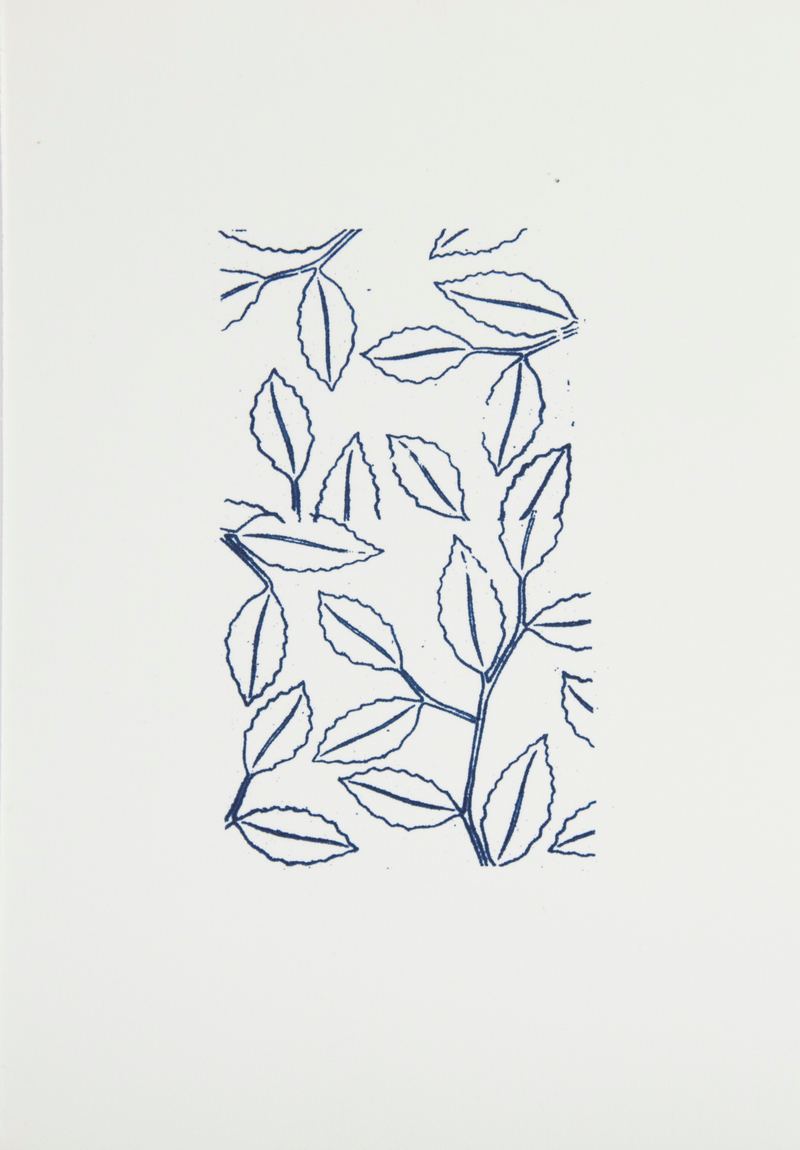 Mitch Cairns, Nature Study, 2012