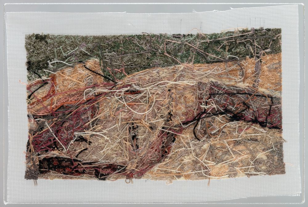 Owner Builder of Modern California House