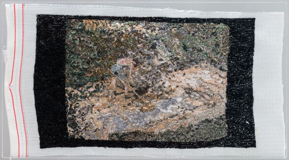 Owner Builder of Modern California House