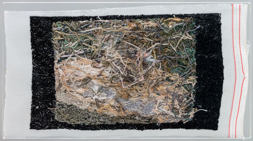 Owner Builder of Modern California House