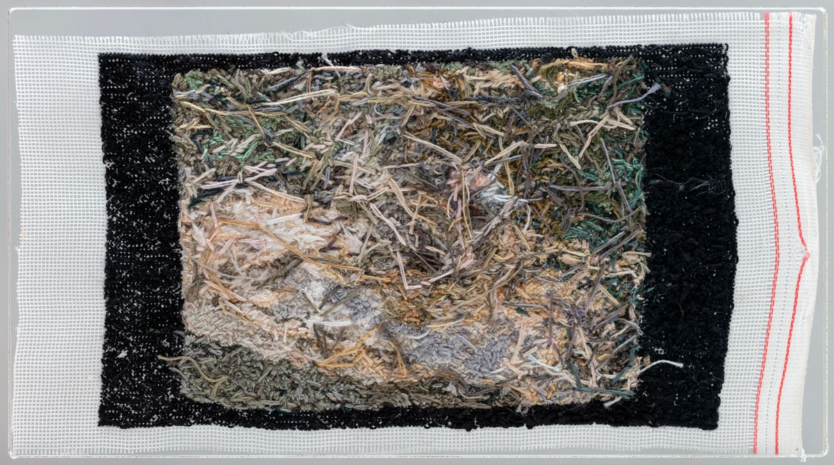 Narelle Jubelin, Owner Builder of Modern California House 11, 2024 (back)