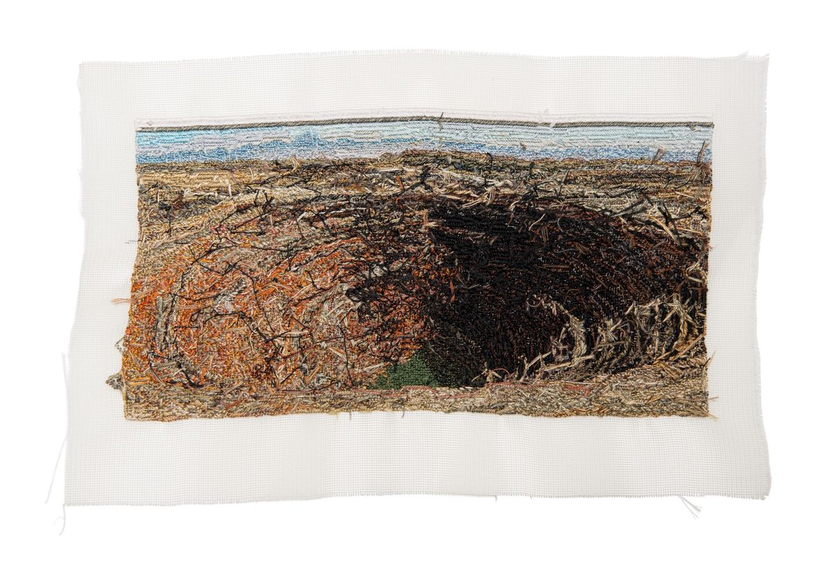 As yet Untitled (Ângela Ferreira, 2015)