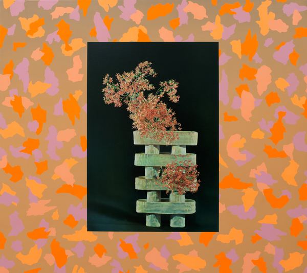 Anna Kristensen, Christmas Bush, 2012