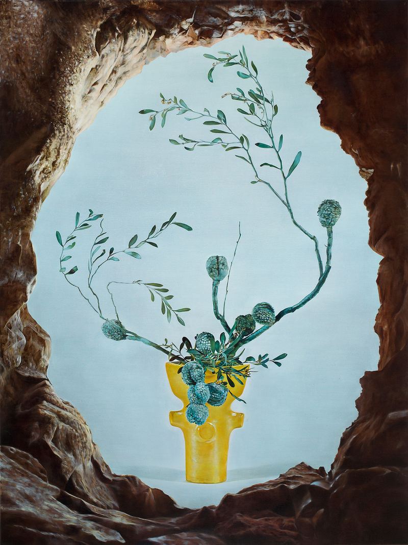 Anna Kristensen, Screwpine Hakea, 2011