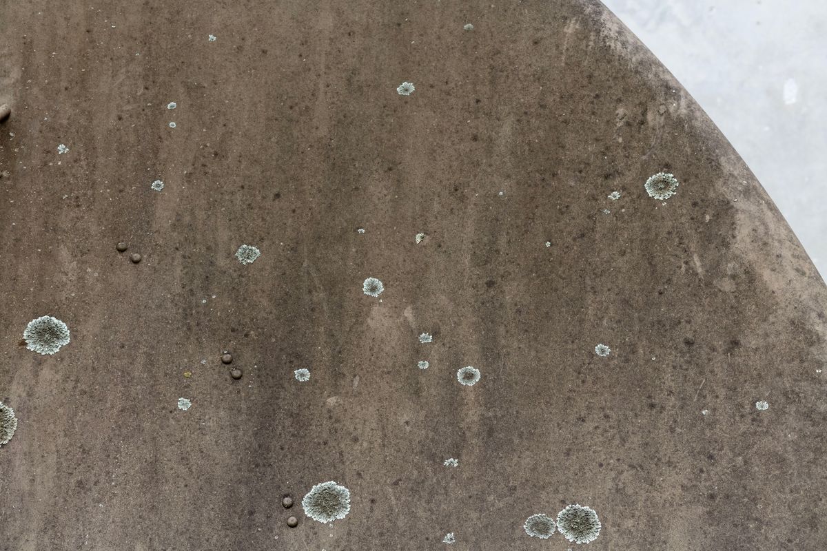 Oscar Perry: MOON WALKS ON MAN