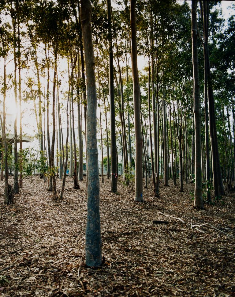 Amanda Williams, Avenues (stereoscope) 1, 2023