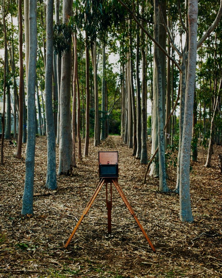 Amanda Williams, Avenues (stereoscope) 3, 2023