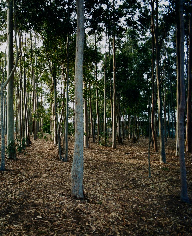 Amanda Williams, Avenues (stereoscope) 4, 2023