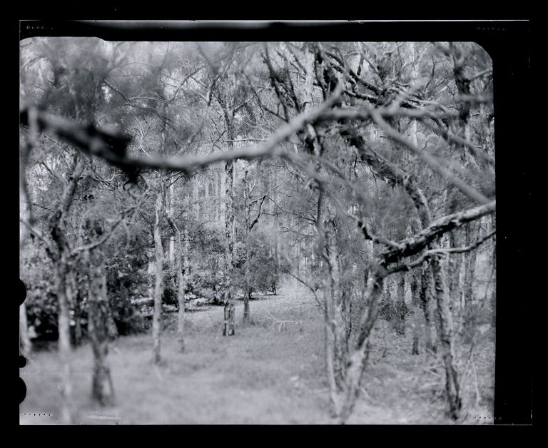 Amanda Williams, Max Dupain Linhof Technika 1, 2023