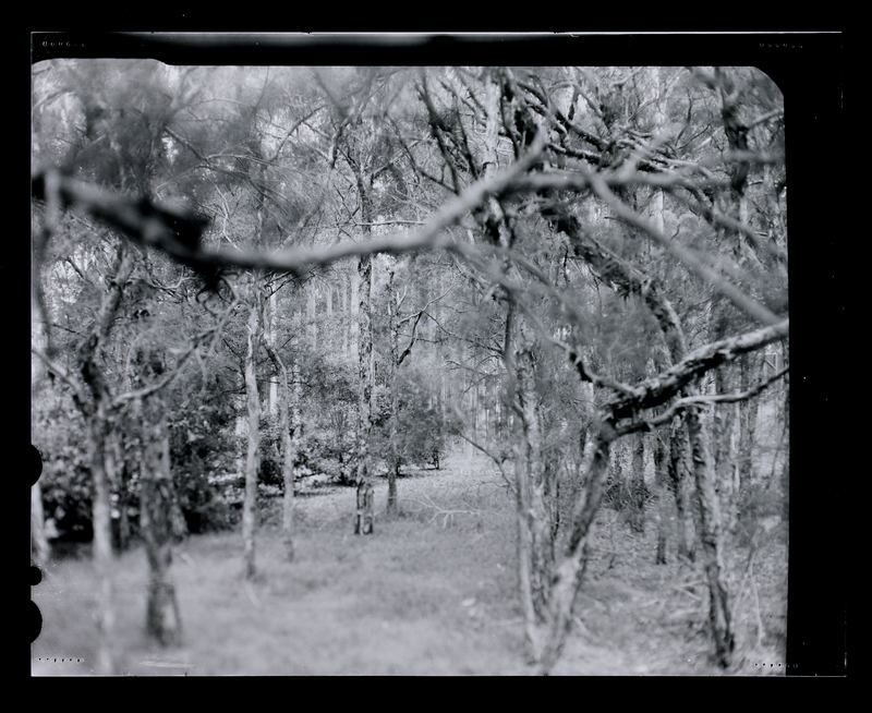 Amanda Williams, Max Dupain Linhof Technika 1, 2023