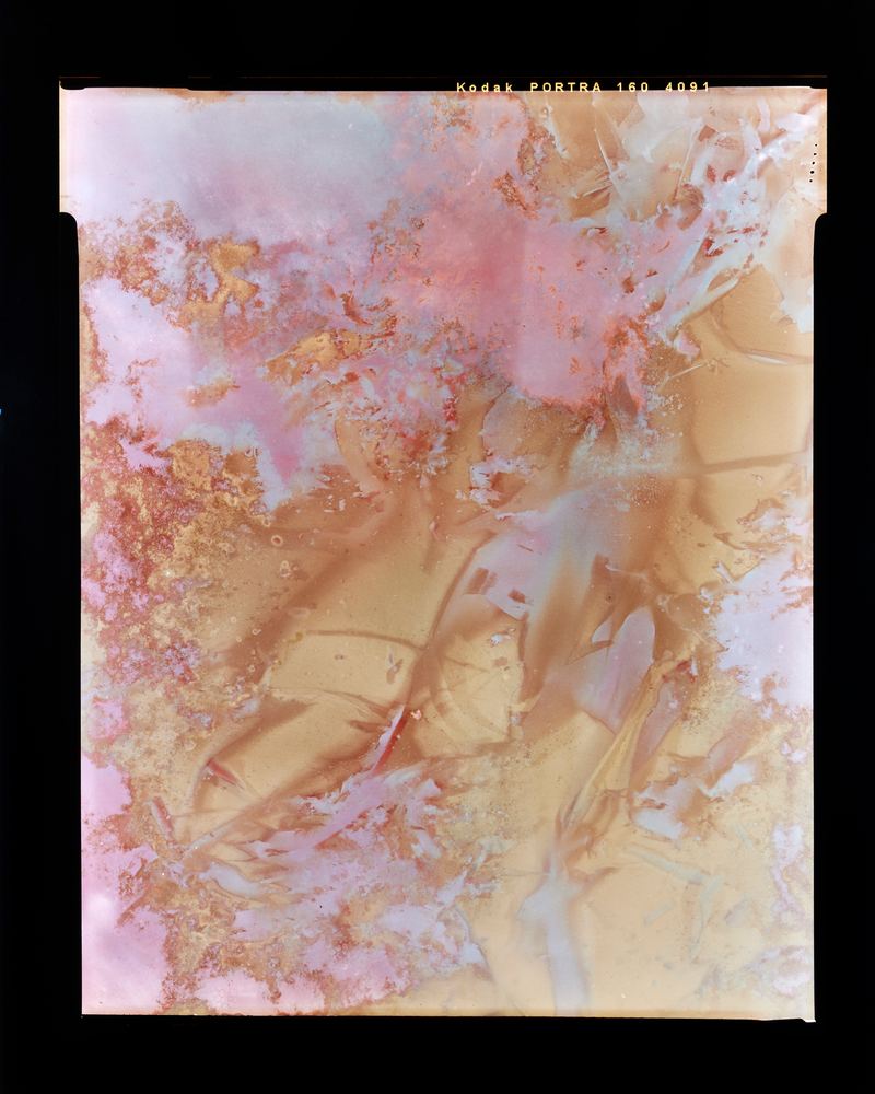 Amanda Williams, Lumen Print experimental eucalypt plantation (Copy on Kodak Portra 4x5, exposed January 2023) 1, 2023
