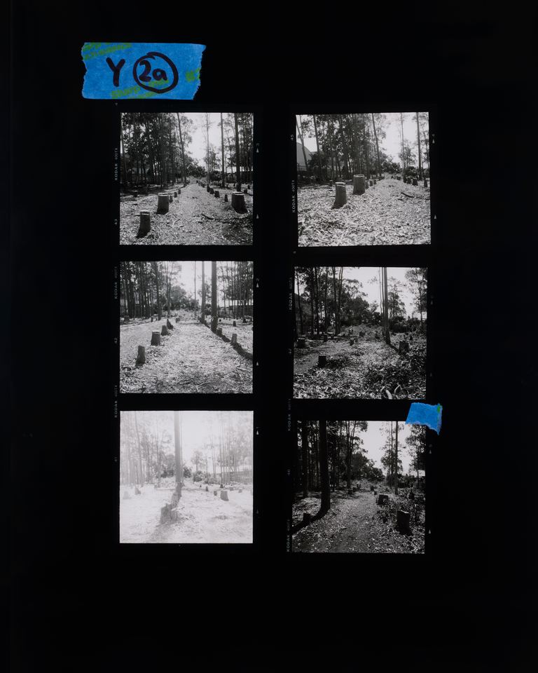 Amanda Williams, Proof sheet enlargement (Post-removal), 2023