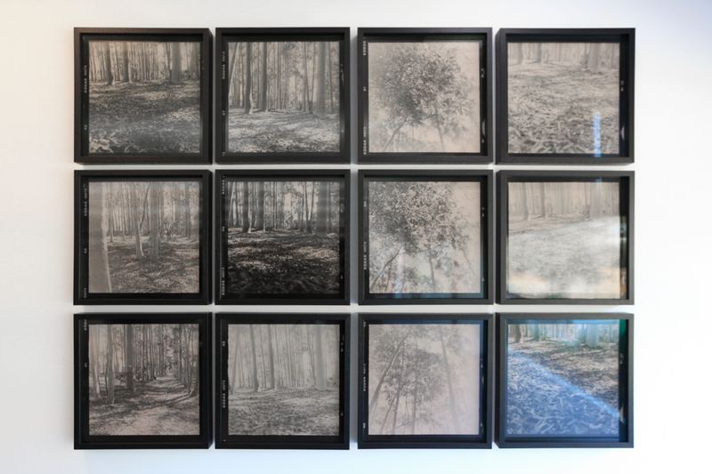 Amanda Williams, A Walk (Exposure 1-12), 2023