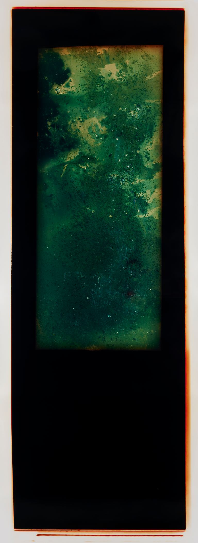 Amanda Williams, Chemigram experimental eucalypt plantation (version 2) 4, 2023