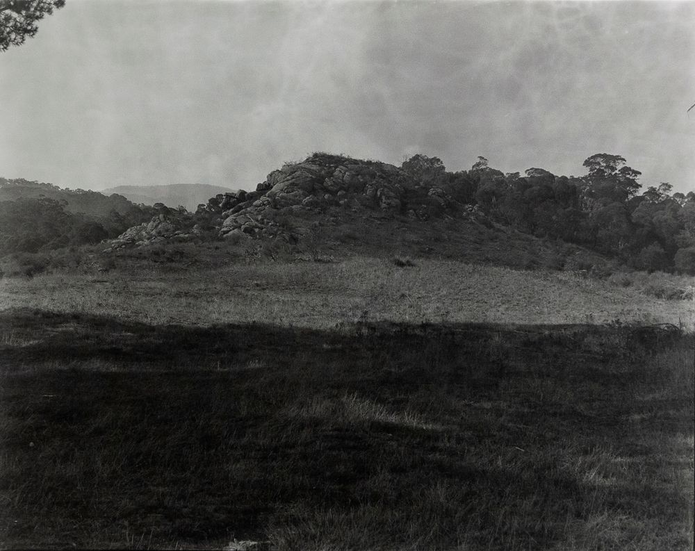 Goobarragandra Wilderness Kosciuszko National Park/Wolgalu Country (4260/5)