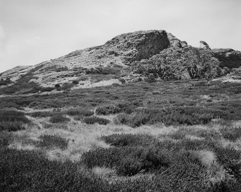 Amanda Williams, Bogong High Plains, Alpine National Park (4582/18), 2020