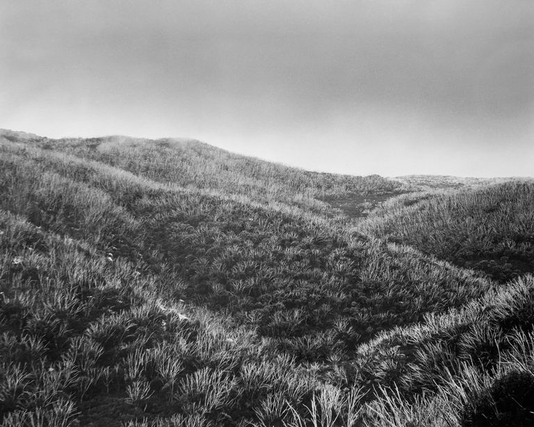 Amanda Williams, Bogong High Plains, Alpine National Park (4417/1), 2020