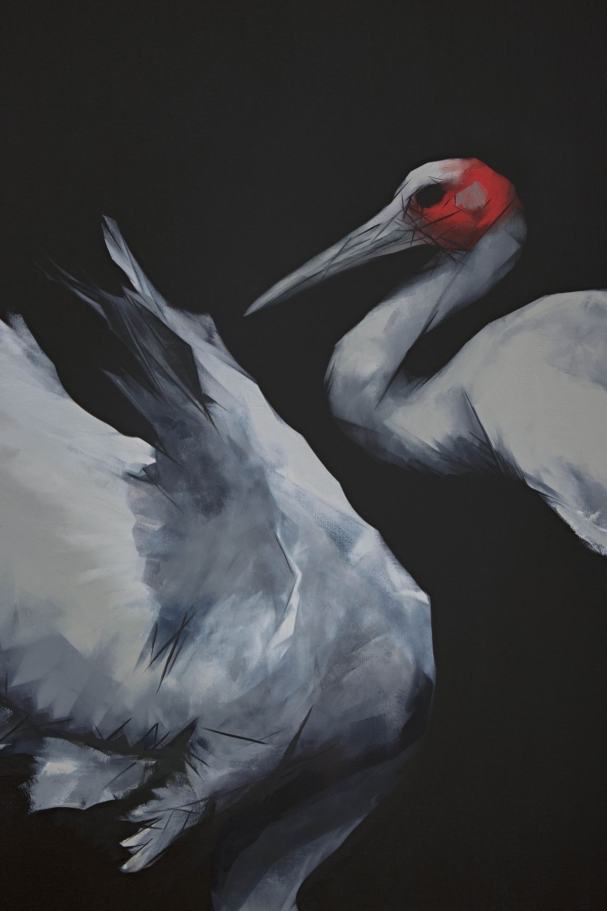 Judo-House part 10 (plain crazy)