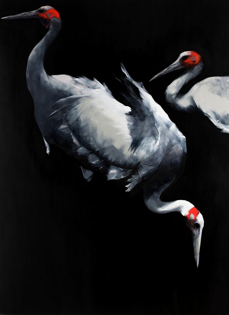 Nigel Milsom, Judo-House part 10 (plain crazy), 2023