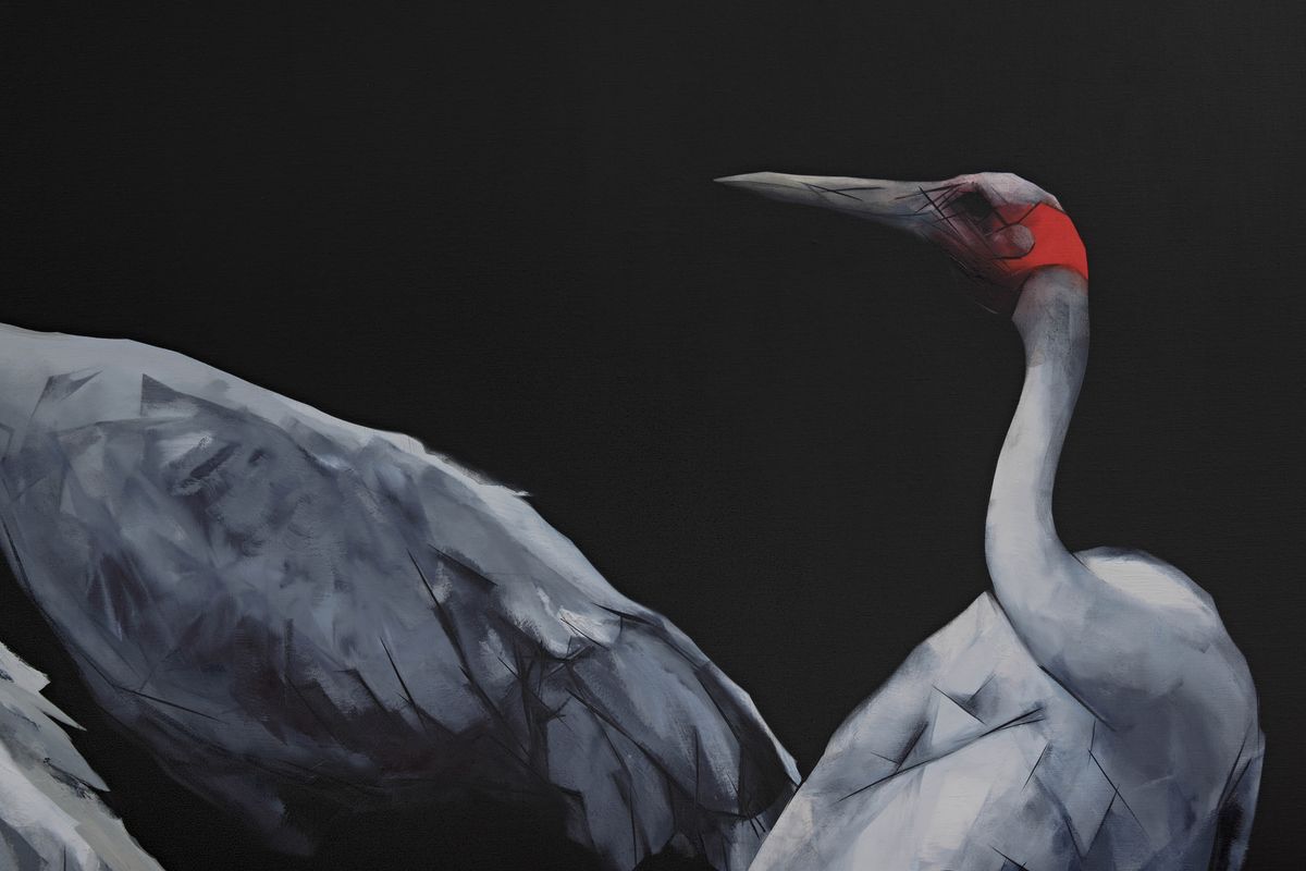 Judo-House part 10 (plain crazy)