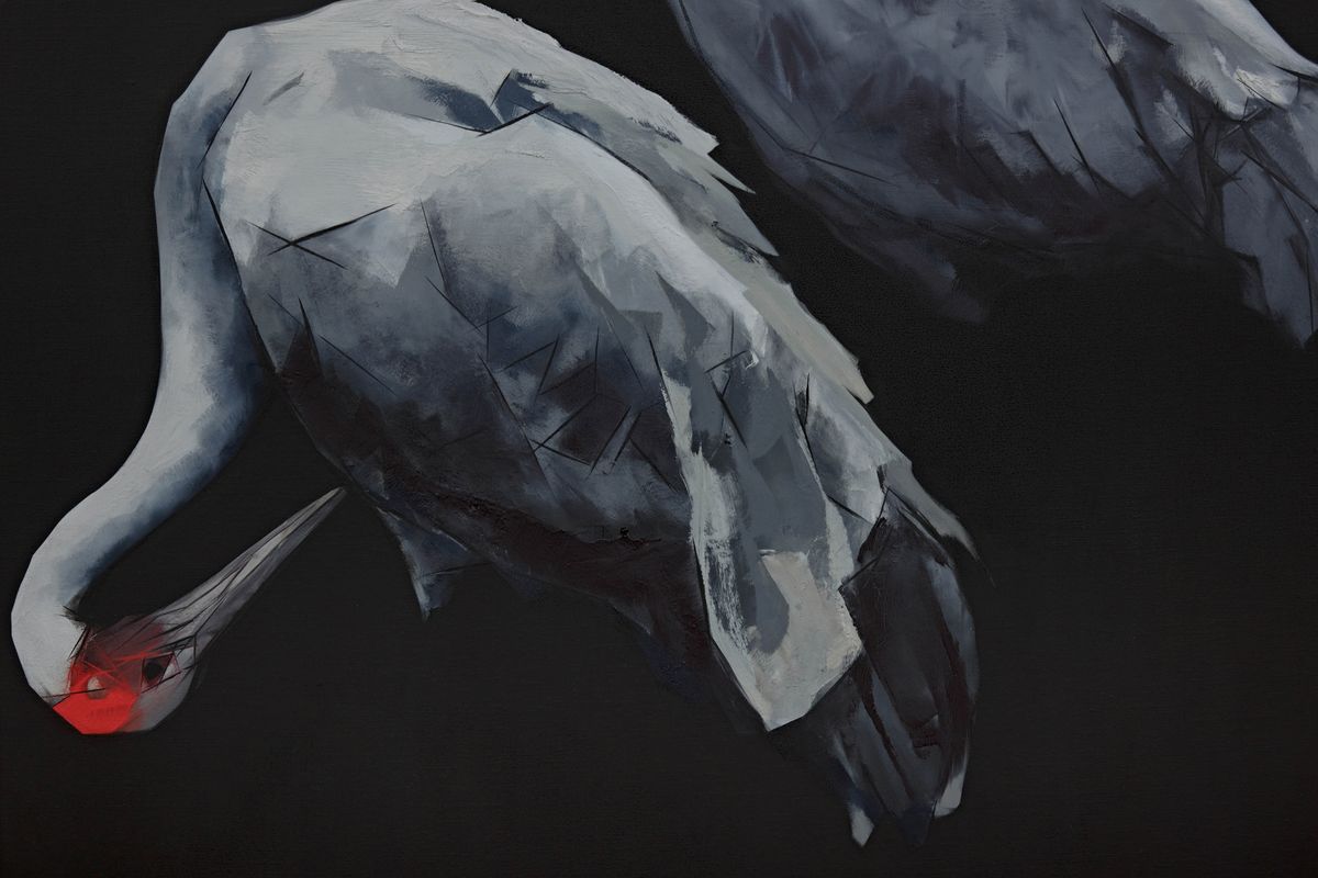 Judo-House part 10 (plain crazy)