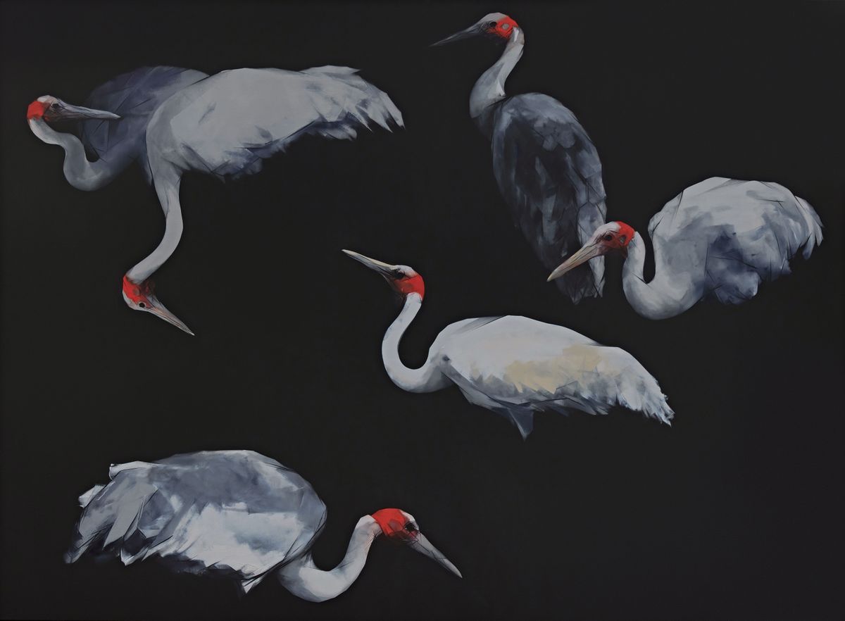 Judo-House part 10 (plain crazy)