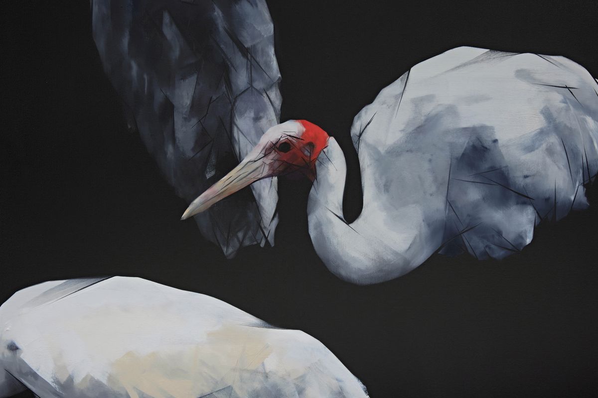 Judo-House part 10 (plain crazy)