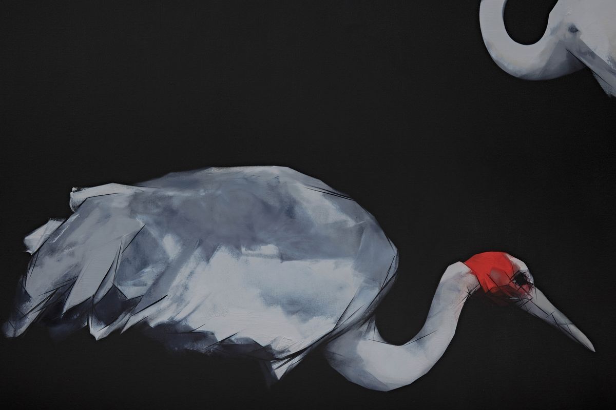 Judo-House part 10 (plain crazy)