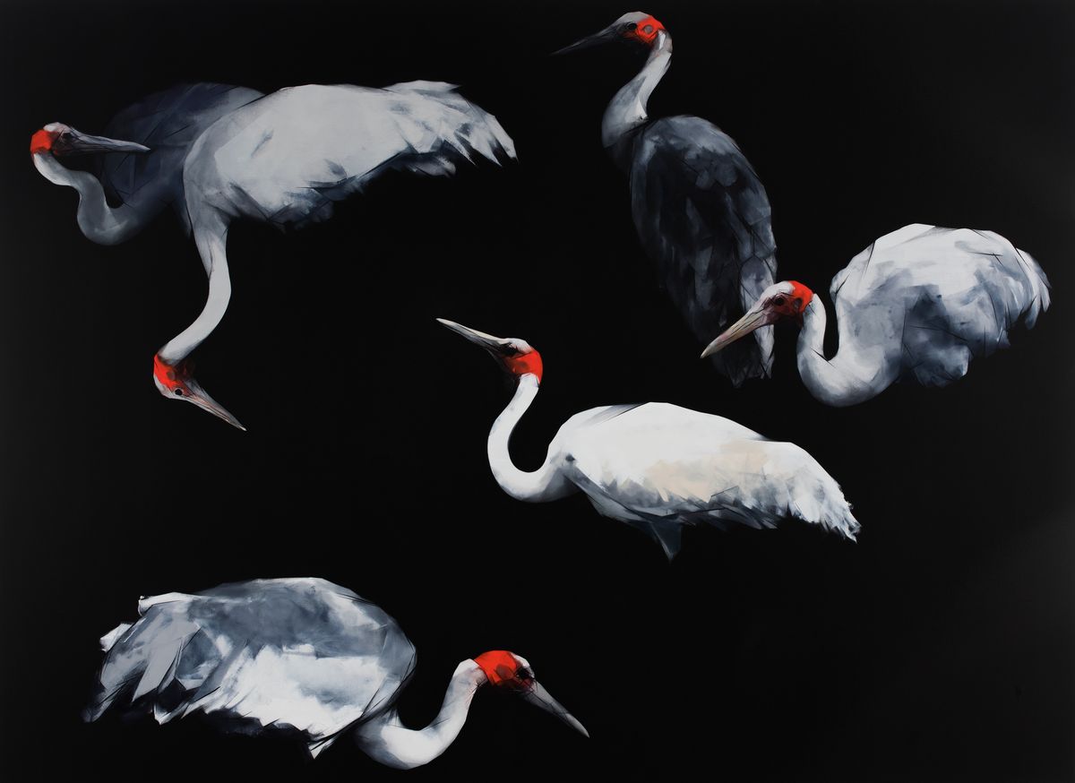 Judo-House part 10 (plain crazy)