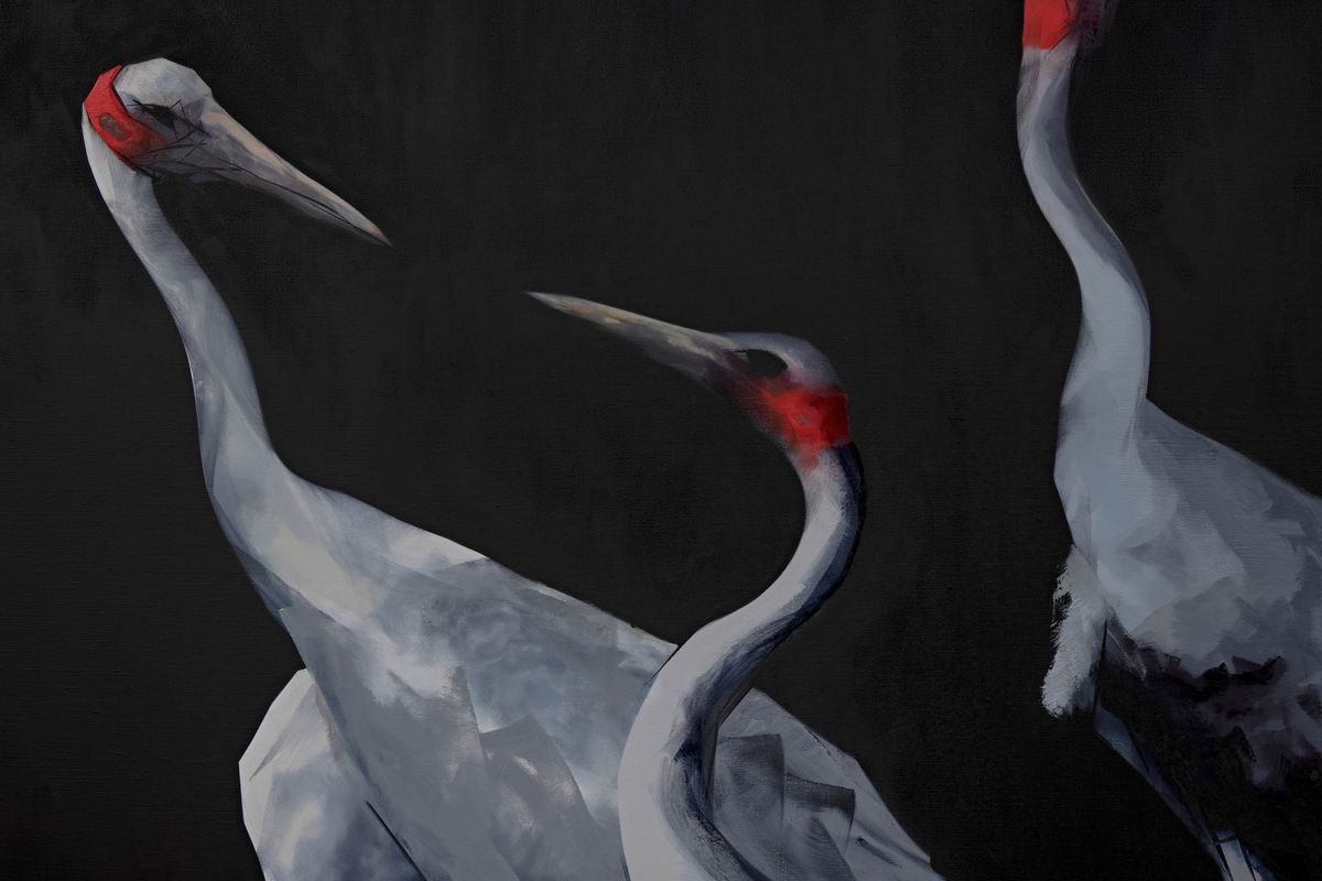 Judo-House part 10 (plain crazy)