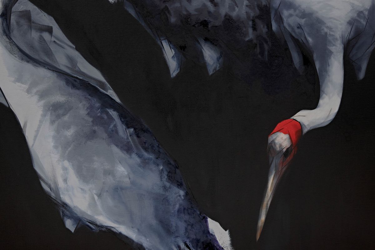 Judo-House part 10 (plain crazy)