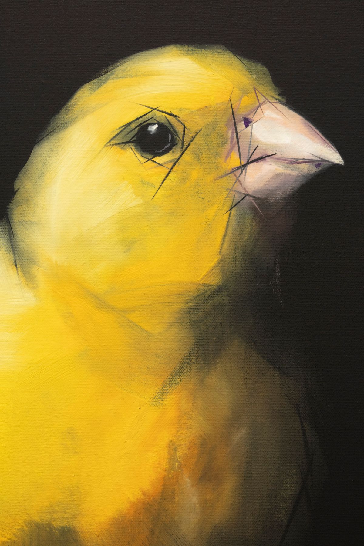 Judo-House part 9 (birdland)