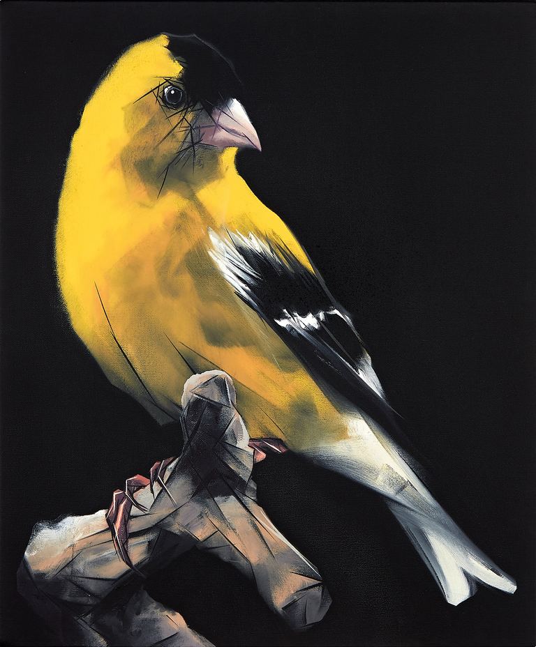 Nigel Milsom, Judo-House part 9 (birdland), 2020