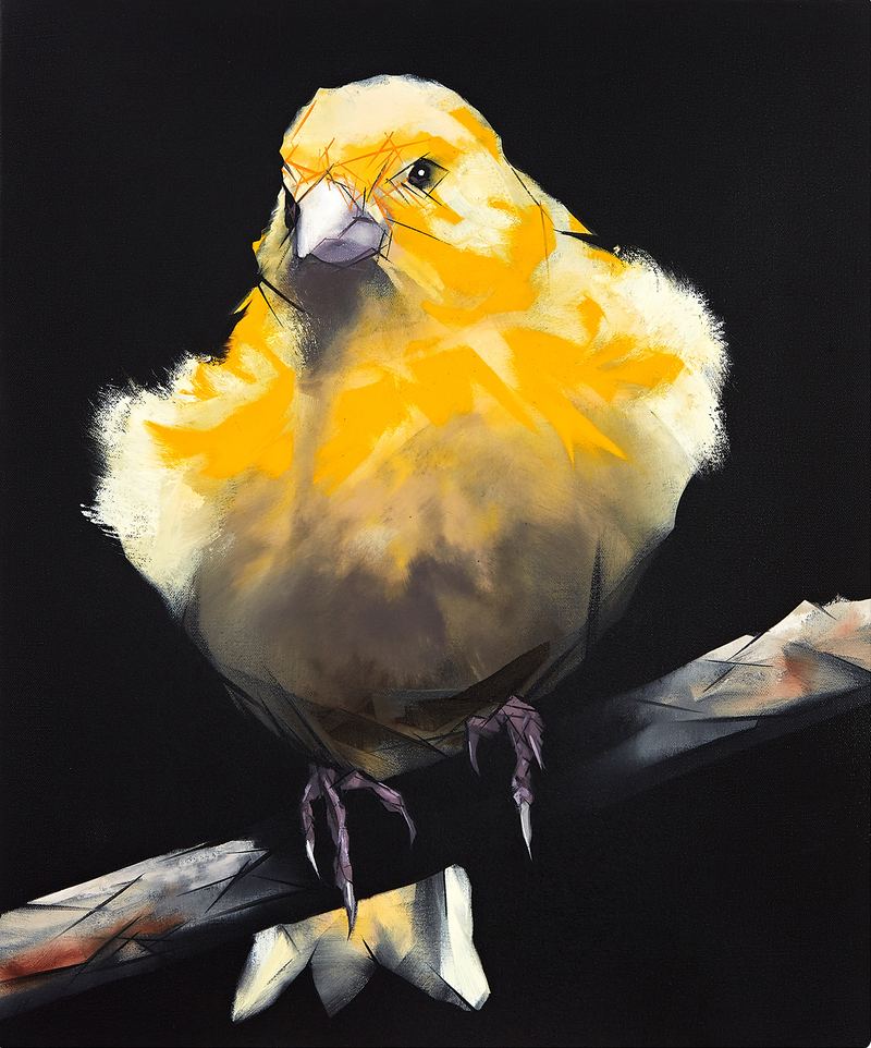 Nigel Milsom, Judo-House part 9 (birdland), 2020