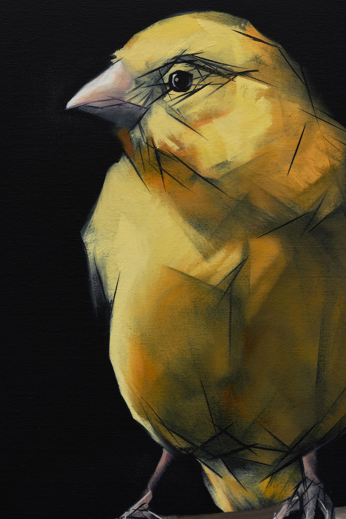 Judo-House part 9 (birdland)