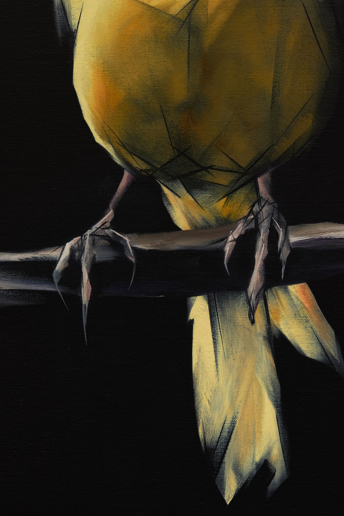 Judo-House part 9 (birdland)