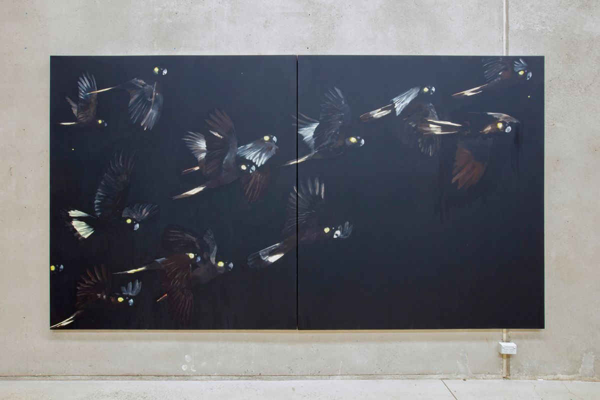 Judo-House part 9 (birdland)