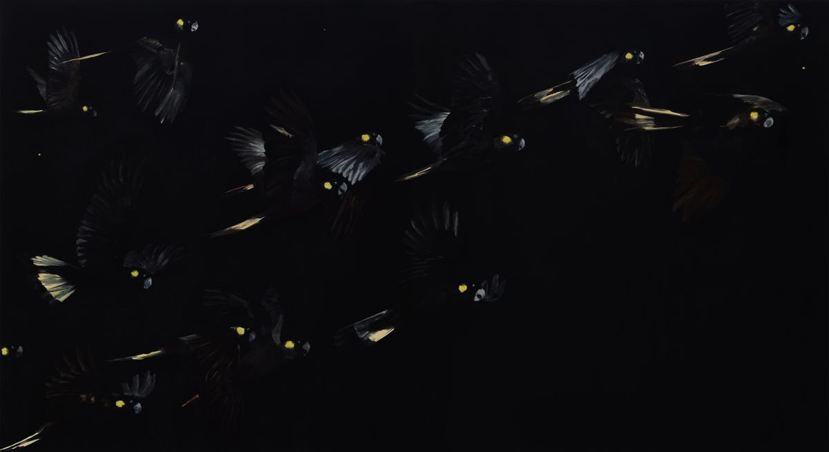 Judo-House part 9 (birdland)