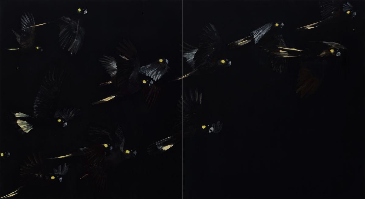 Judo-House part 9 (birdland)