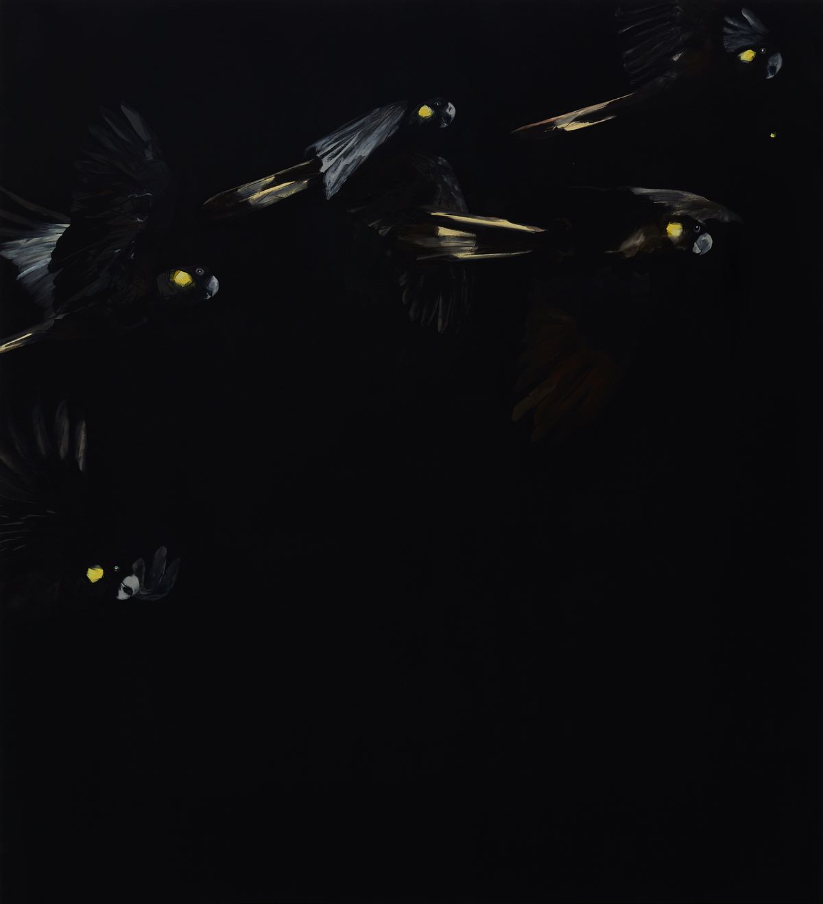 Judo-House part 9 (birdland)