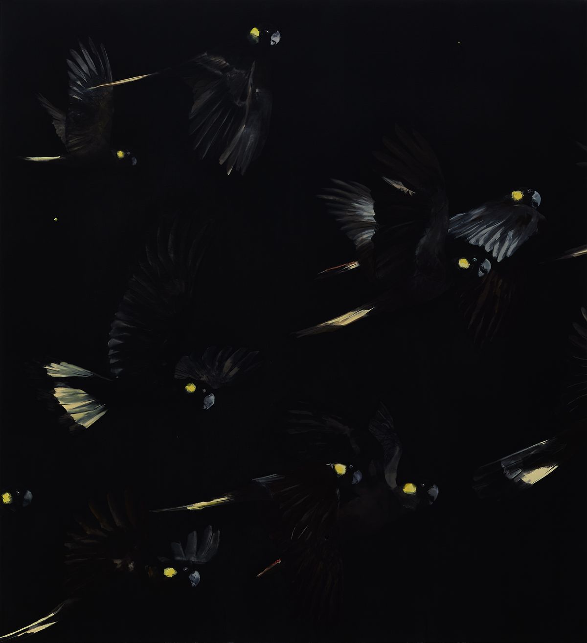 Judo-House part 9 (birdland)